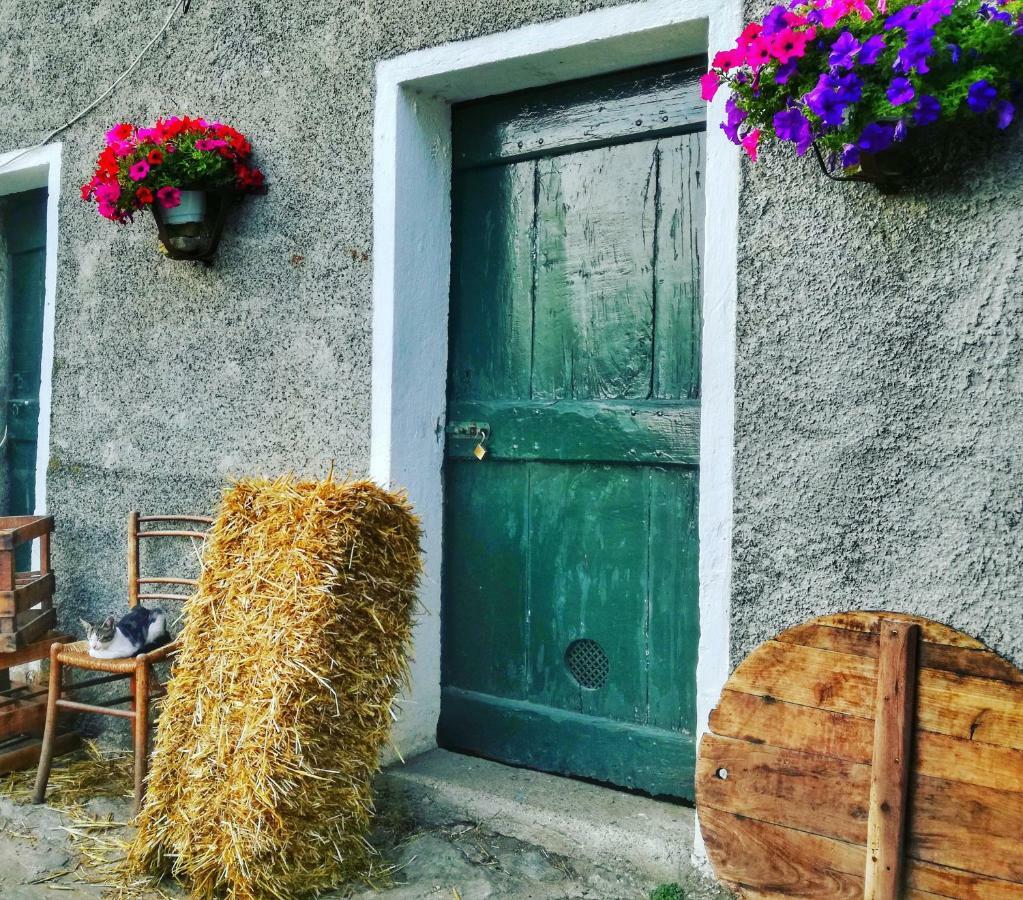 Berzuaia Bed & Breakfast Варацце Экстерьер фото